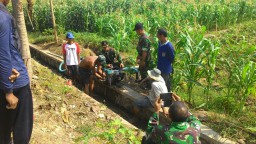 Babinsa Tarik Beri Solusi Atasi Pengairan Dengan Mesin Pompa
