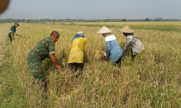 Pendampingan kepada para Kelompok Tani yang ada di wilayah Prambon