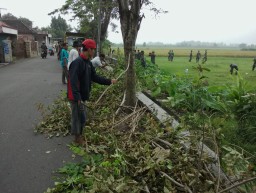 Jelang Panen Raya, Anggota Kodim 0816 lakukan karya bakti bersama warga