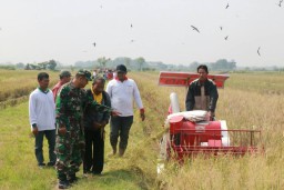 Persiapan bentuk Brigade tanam Swasembada Pangan