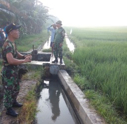 Menuju kemandirian dan ketahanan pangan tingkat nasional