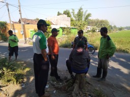 Babinsa Koramil 0816/10 Balongbendo Melaksanakan kegiatan komsos dengan petani