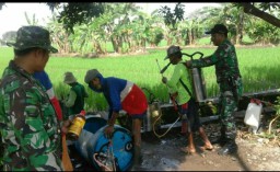 Babinsa Koramil 0816/03 Buduran Lakukan Upsus Ketahanan Pangan
