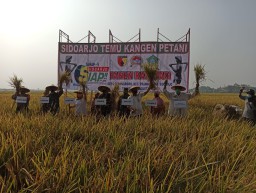 Sukseskan swasembada pangan, Kodim 0816/Sidoarjo menggelar kegiatan Temu Kangen dengan Para Petani di Prambon