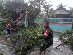 Anggota Koramil 0816/ 07 Krembung Bersama Warga Bergotong Goyong Bersihkan Lingkungan Akibat Angin.