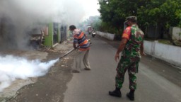 Tak Lupakan DBD, Babinsa Pelda Marjuki Bantu Fogging Desa Kenongo Kecamatan Tulangan Kabupaten Sidoarjo