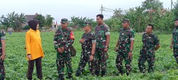 Danrem 084/BJ meninjau lahan pertanian Kodim 0816/Sidoarjo