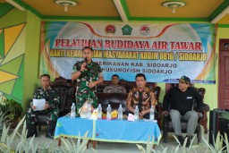 Kodim 0816/Sidoarjo bersama Dinas P2MKP Kab. Sidoarjo gelar kegiatan Bakti Kemandirian Masyarakat di Balongbendo