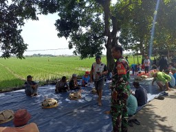 Danramil 05/Tulangan Beserta Babinsa Hadiri Syukuran Tutup Tanam Padi.