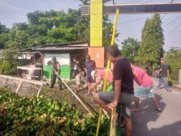Kerja Bakti Serempak di Desa Sidomulyo, Bersama Fokopimka dan Warga Bersihkan Aliran Sungai dari Enceng Gondok