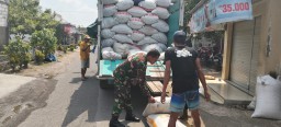 Babinsa Koramil 0816/06 Tanggulangin Dampingi Panen Padi di Desa Putat, Dorong Ketahanan Pangan