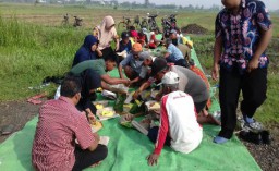 Syukuran turun tanam yang diadakan di persawahan Desa Kemantren