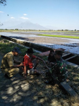 BABINSA 0816/06 DAMPINGI PETANI MENGGUNAKAN MESIN TANAM RICE TRANSPLANTER