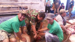 BABINSA KORAMIL 0816/ 06 TANGGULANGIN BANTU MASYARAKAT SEMBELIH HEWAN QURBAN