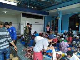 Bersama sama warga desa binaanya Babinsa Koramil 0816/14 melaksanakan pemotongan hewan kurban