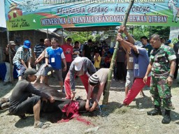 Babinsa 04/Porong bantu memotong dan membagikan qurban