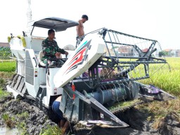 Babinsa Kemiri Bantu Petani Panen Padi Dengan Alat Modern