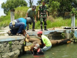 Babinsa 0816/08 Jabon lakukan gerak cepat guna cegah terjadinya kurang air di wil Jabon