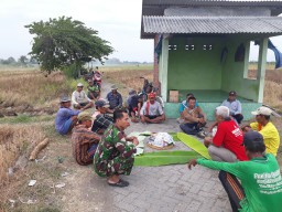 SYUKURAN DIMULAINYA TURUN TANAM