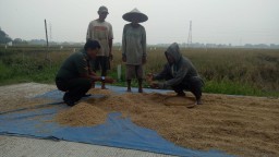Babinsa Koramil 17 Gedangan Melaksanakan Komsos dengan Bpk. Isman Anggota Poktan Sekar Makmur
