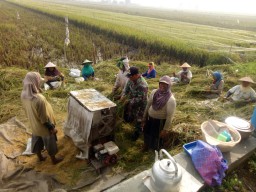 Pasca Pemilu Tahun 2019, Babinsa Ramil 12/Prambon tetap setia dampingi para petani