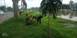 Anggota Ramil 10/Balongbendo melaksanakan pengecekan dan penyulaman pohon mahoni ruas jalan provinsi Kec. Balongbendo