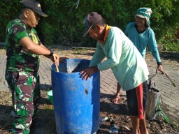 KORAMIL 0816/10 BALONGBENDO SERKA SUDARMONO MELAKSANAKAN KEGIATAN PENANGGULANGAN HAMA WERENG