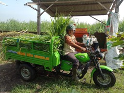 Butuh Stamina FIT Dan SEHAT Disamping Tugas Pokok Juga Ada Tugas Tambahan PROGAM UPPO DARI KODIM 0816 SIDOARJO.