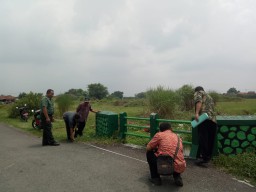 Babinsa 0816/05 Pelda Sutomo Komsos Bersama Warga,LMD Desa Kedondong.