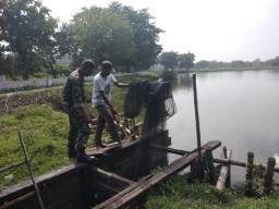 Babinsa sawohan serda tatok melaksanakan kegiatan komsos dg para petani tambak udang