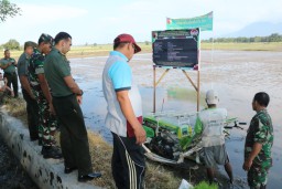 Terjun langsung ke sawah pantau Demplot, Kodim 0816/Sidoarjo sambut Tim Wasev dari Sterad