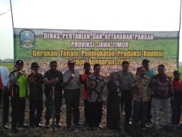 Danramil 0816/13 Menghadiri Percontohan Penanaman Kedelai 150 Ha di wilayah Kecamatan Wonoayu