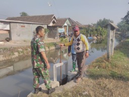 Babinsa dan Mantri Tani Jabon Mengontrol Pengendalian Air Ke Sawah Para Petani
