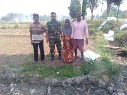 Begitu Nampak Kedekatan Babinsa Koramil 0816/13 Wonoayu dengan Para Petani