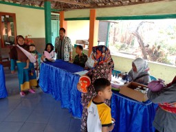 Babinsa Desa Ploso Ramil 0816/13 Bersama Dinas Kesehatan Sosialisasi Juru Memantau Jentik