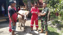 Koramil 0816/06 Tanggulangin menerima Hewan Qurban dari Perusahan PT. Minarak Brantas Gas Inc MBGI