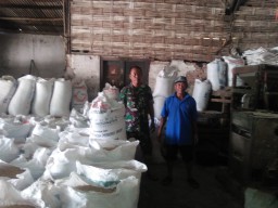 Bati Bhakti TNI Koramil 0816/10 Balongbendo pendampingan petani dalam penggilingan padi