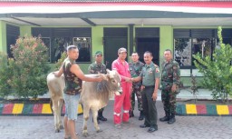 Koramil 06/ Tanggulangin Kodim 0816/ Sidoarjo Melaksanakan Potong Hewan Qurban