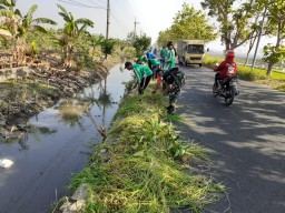 Danramil0816/10 Balongbendo beserta anggota ikuti kerja bakti Balongbendo Peduli Lingkungan