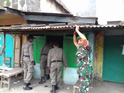 GIAT IKUT MEMBANTU PEMERINTAH DAERAH DALAM MENEGAKKAN PERDA TENTANG KETERTIBAN BERSAMA