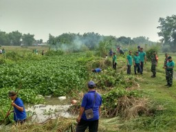 Gerakan Peduli Sungai Desa Segodo Bancang Kecamatan Tarik Di Hadiri Bupati Sidoarjo