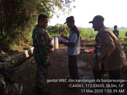 Babinsa Koramil 0816/11 Tarik Melaksanakan Giat Bimtek Dan Gerdal WBC Bersama Dinas Pertanian Di Desa Banjarwungu