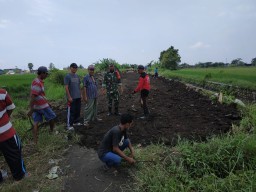 Babinsa Desa Kedungcangkring Jabon, Memotivasi Warganya Ikut Kerja Bakti Pelebaran Jalan