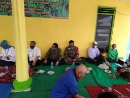 Babinsa Koramil 0816/13 Wonoayu Hadiri Syukuran Tutup Tanam Padi.