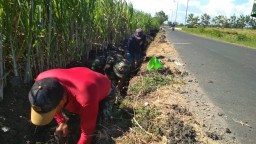 Satgas TMMD, Kebut Pembangunan Plesengan Di Desa Kedungkembar Kec Prambon