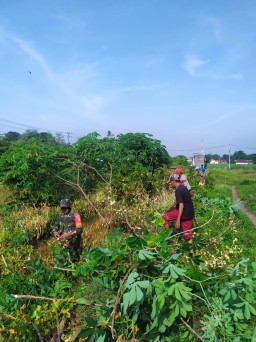 Partisipasi Babinsa Koramil 0816/13 Wonoayu Dalam Kegiatan Padat Karya