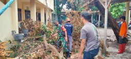 Babinsa Koramil 0816/05 Tulangan bantu warga Desa Grinting, tebang pohon tumbang karena cuaca