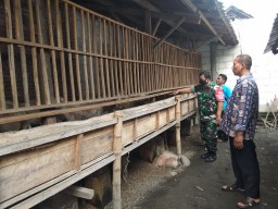 Pelda A Rofiq melaksanakan Komsos Dengan Peternak Kambing Di Desa Ploso