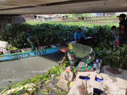 Antisipasi Banjir, Babinsa Segoro Tambak Sedati bersihkan enceng gondok