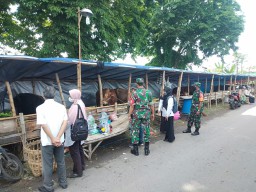 Penyakit PMK Merebah Babinsa Koramil 0816/06 Tanggulangin Bergerak Monitoring Hewan Ternak